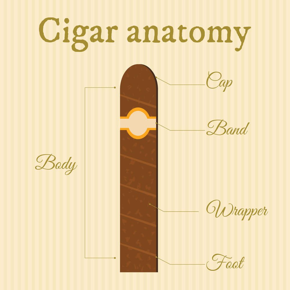 Anatomy of a Cigar