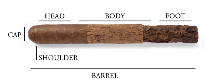 Body of Cigar