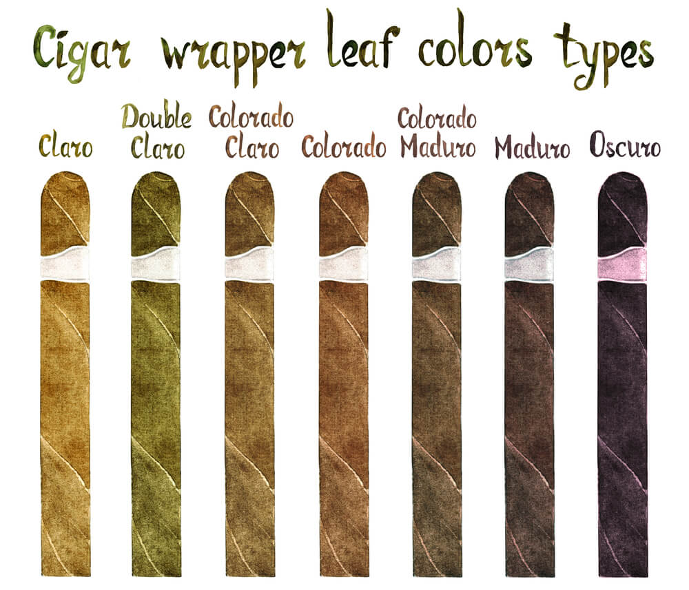 Cigar Wrapper Colors