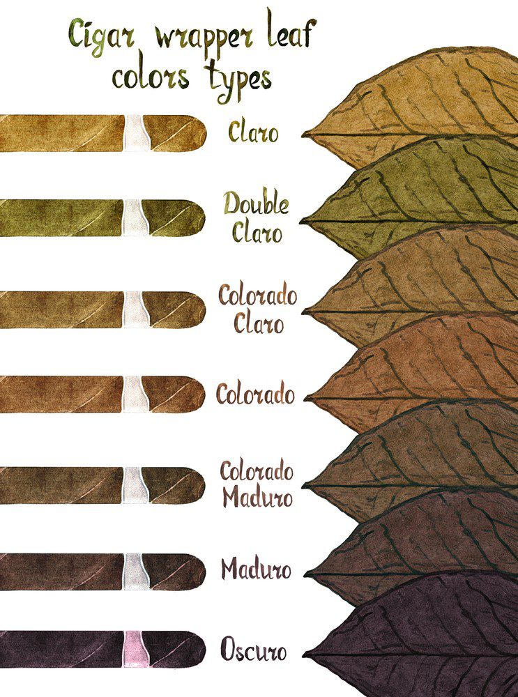 Cigar Wrapper Leaf Colors