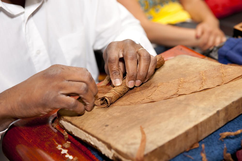 Mastering the Art of Cigar Rolling