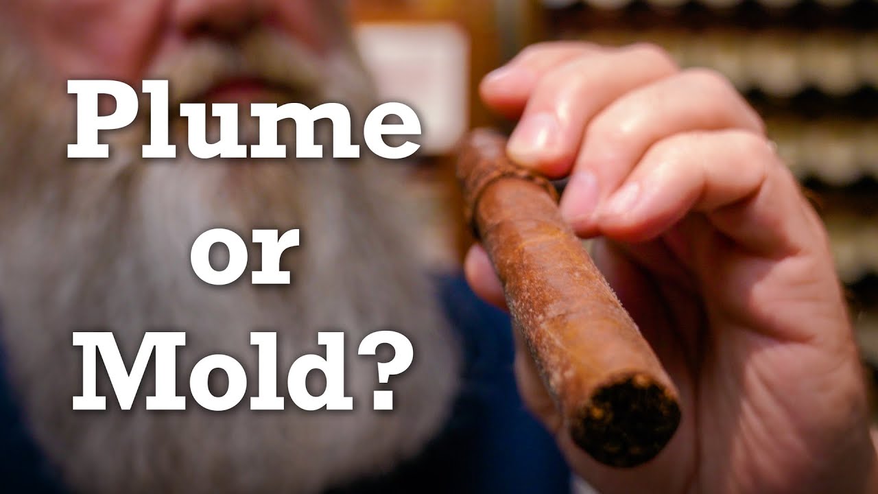 Cigar Plume vs Mold