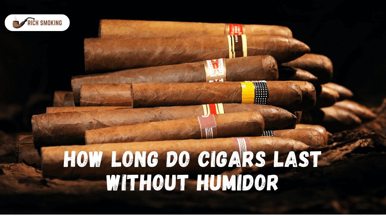 How Long Do Cigars Last Without Humidor