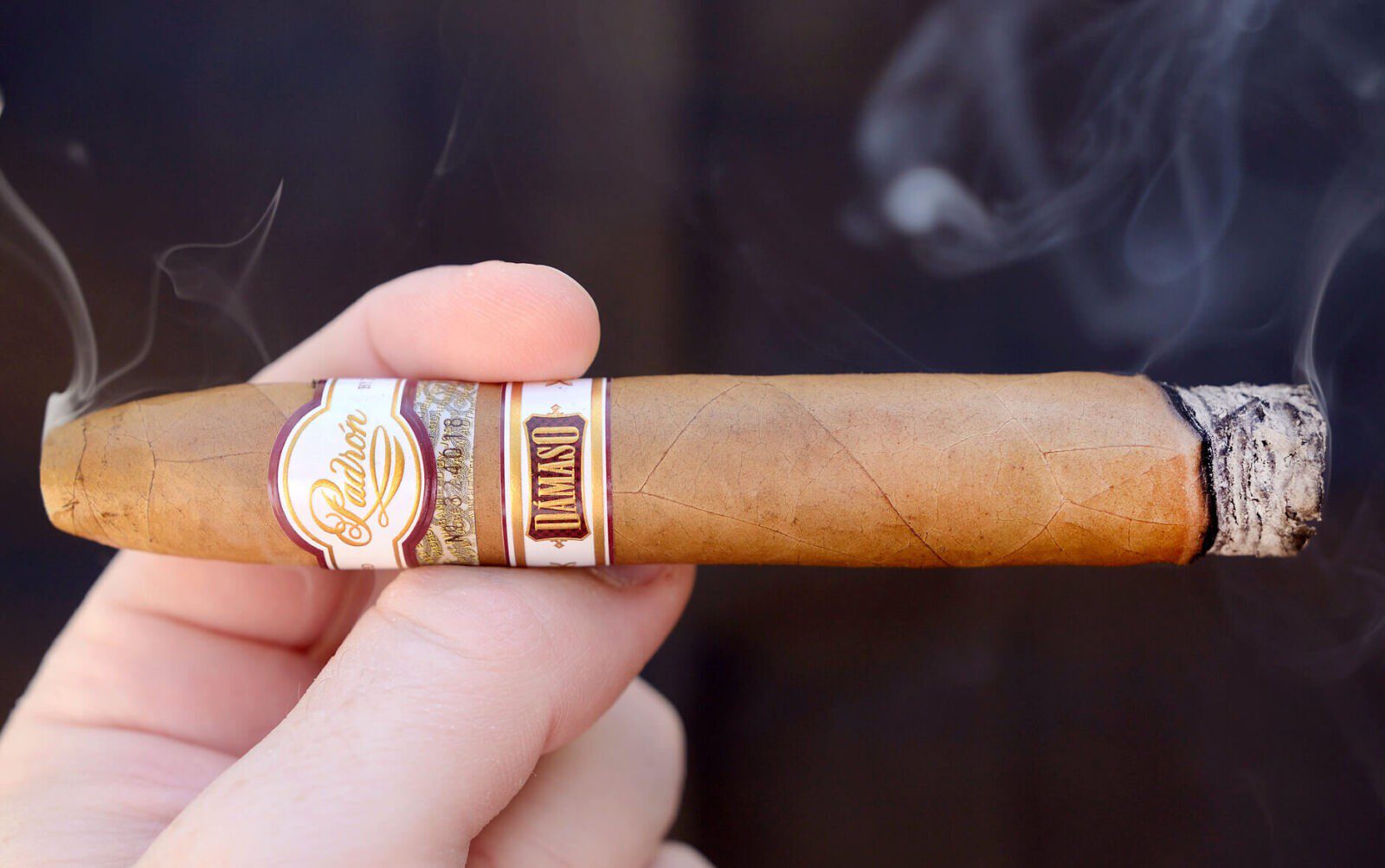 Padron Damaso No. 34 Cigar Review