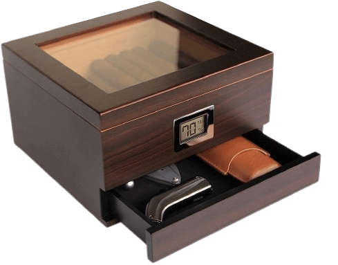 Renzo Glass Top Humidor by Case Elegance