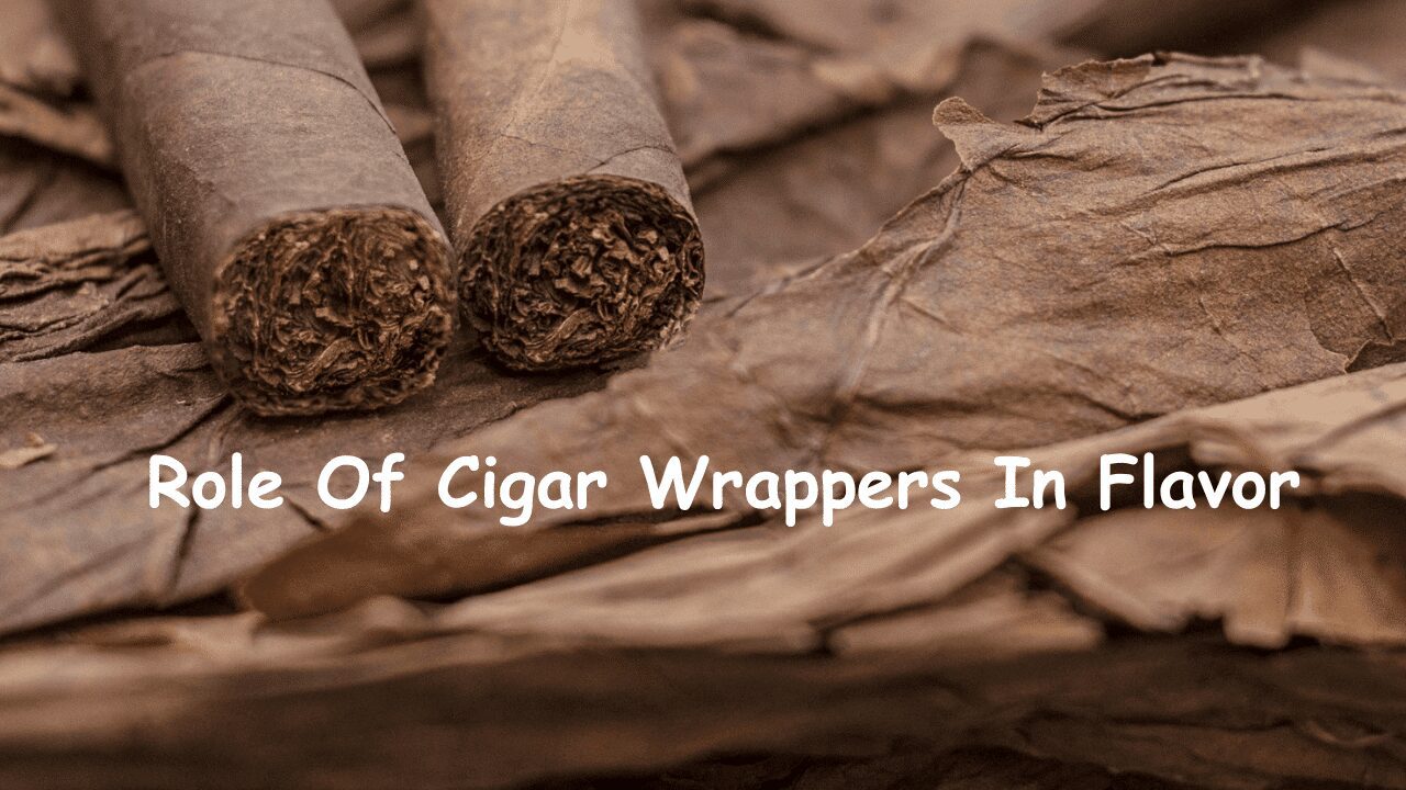 Role Of Cigar Wrappers In Flavor