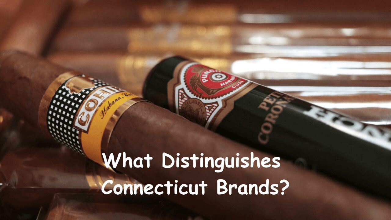What Distinguishes Connecticut Brands?